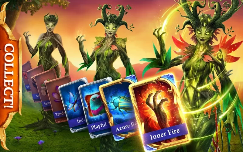 đá bóng hả - tỷ lệ kèo com